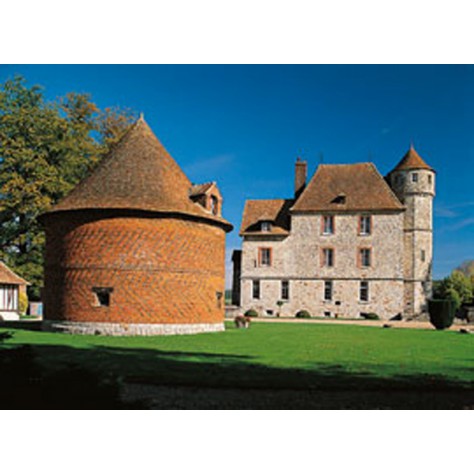 Exposition La Magie des Orchidées - Château de Vascoeuil