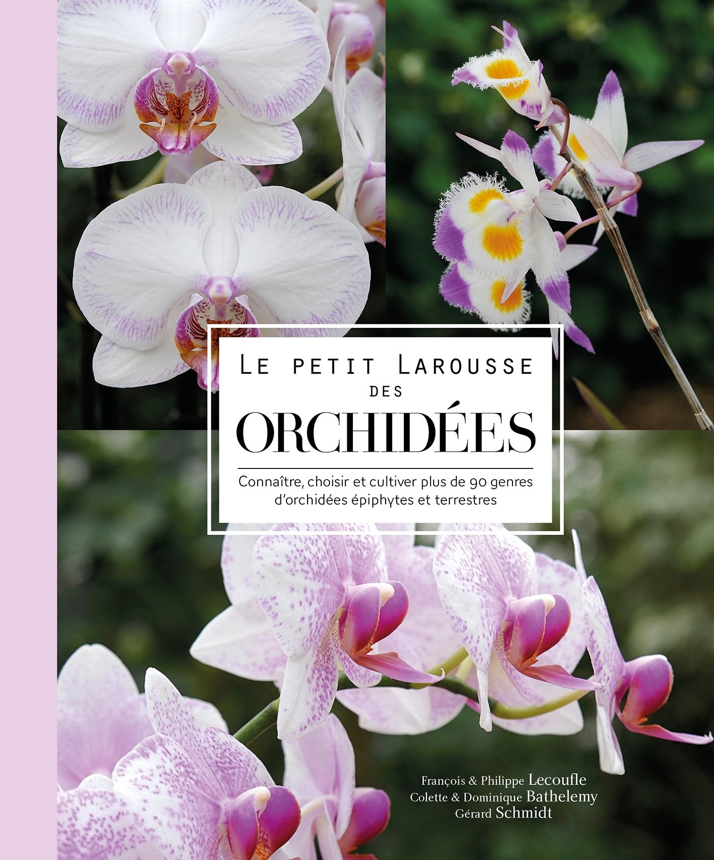 Livre Le Petit Larousse Des Orchidees Lorchidee Fr Vente Librairie Beaux Livres En Ligne