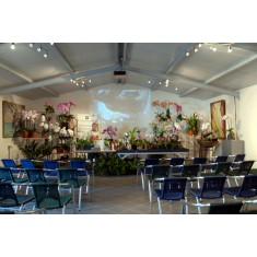 22 mars 2025 - Cours de culture "La culture du phalaenopsis"