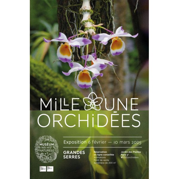 2025-02-06   Mille et une Orchidées - Jardin des Plantes de Paris (75)