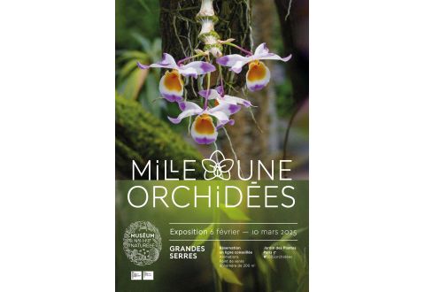 2025-02-06   Mille et une Orchidées - Jardin des Plantes de Paris (75)