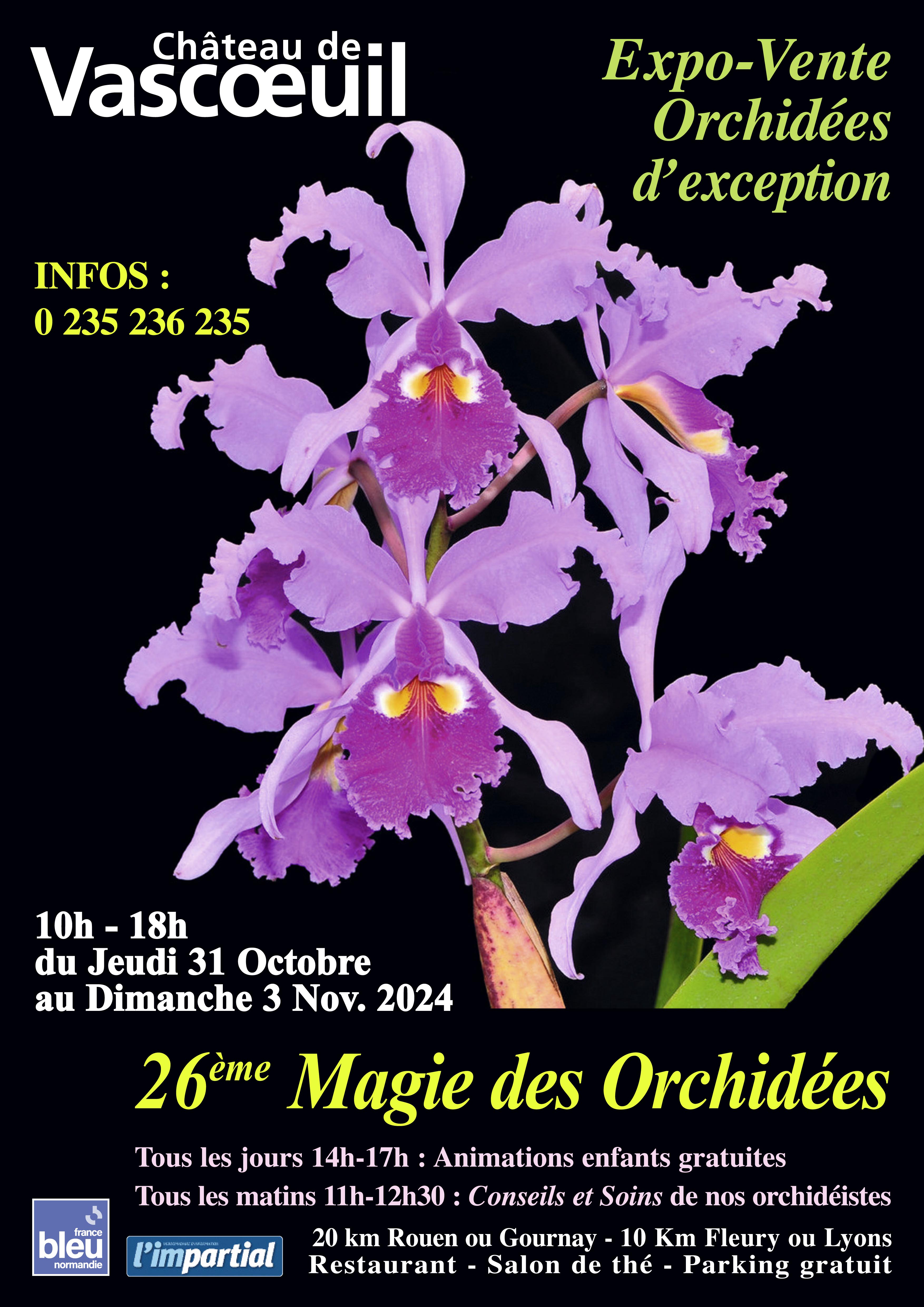 Expo orchidées Château de Vascoeuil (27)